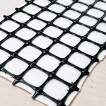 image_2026-01-20_161737481