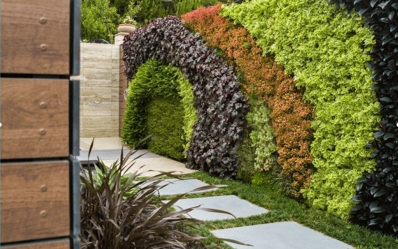 Vertical Garden