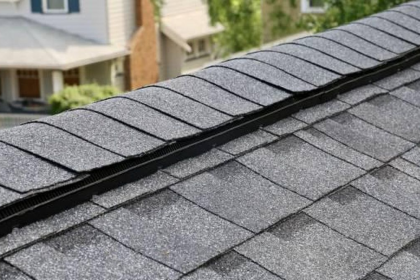 image_2026-01-05_154333594