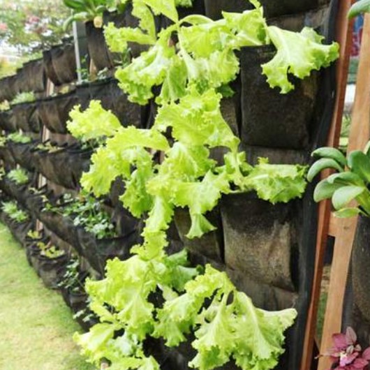 Geotextile Vertical Garden, Harga & Spesifikasinya Klik…